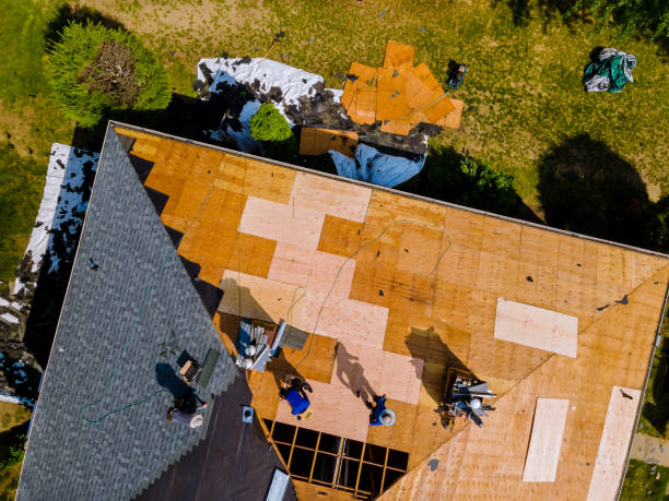 Best Flat Roof Repair Services  in West Terre Haute, IN