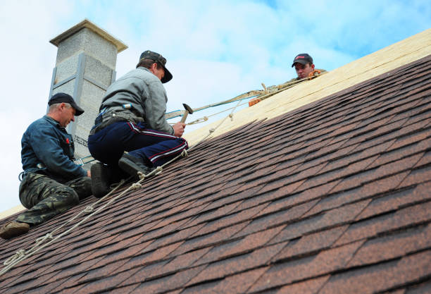 Best Roof Replacement Cost  in West Terre Haute, IN